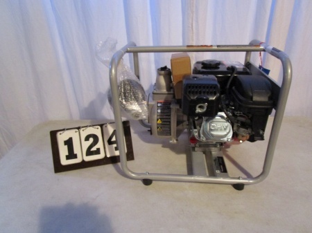 HomeLite Waterpump