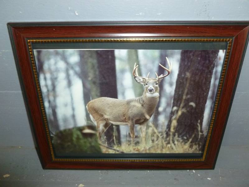 lot 136 image: Picture