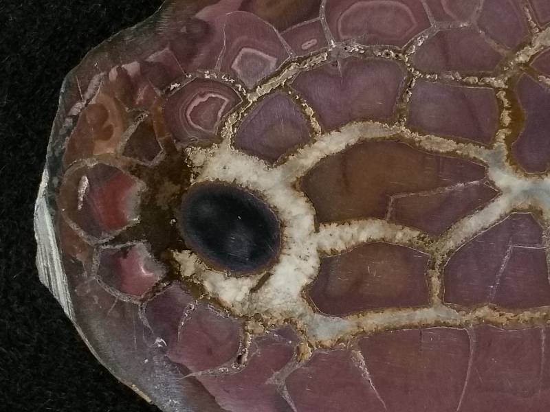 lot 7 image: Septarian Nodule Pair 2 of 2