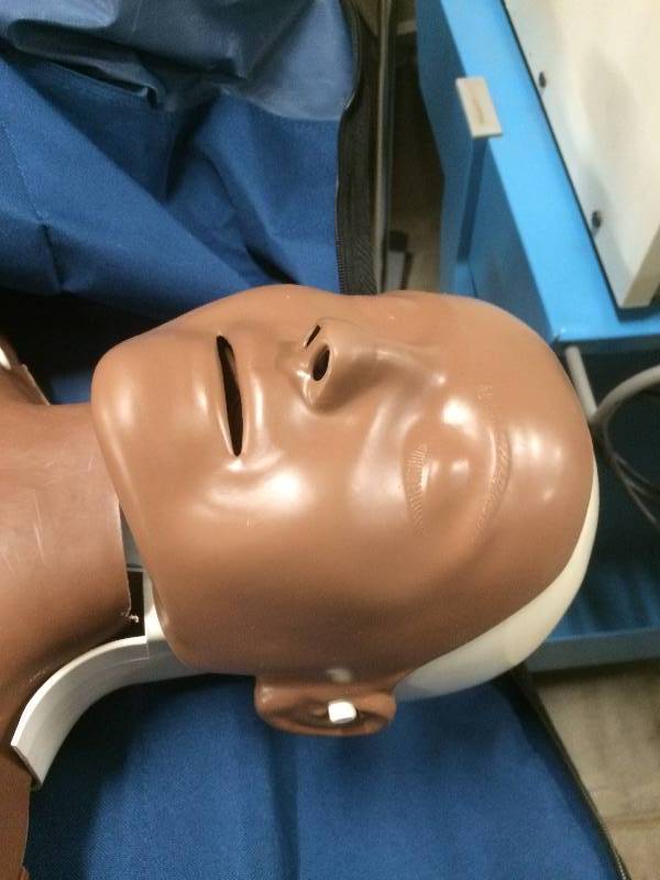 lot 51 image: Laerdal Little Anne Resuscitation Training CPR Manikin - Excellent Condition