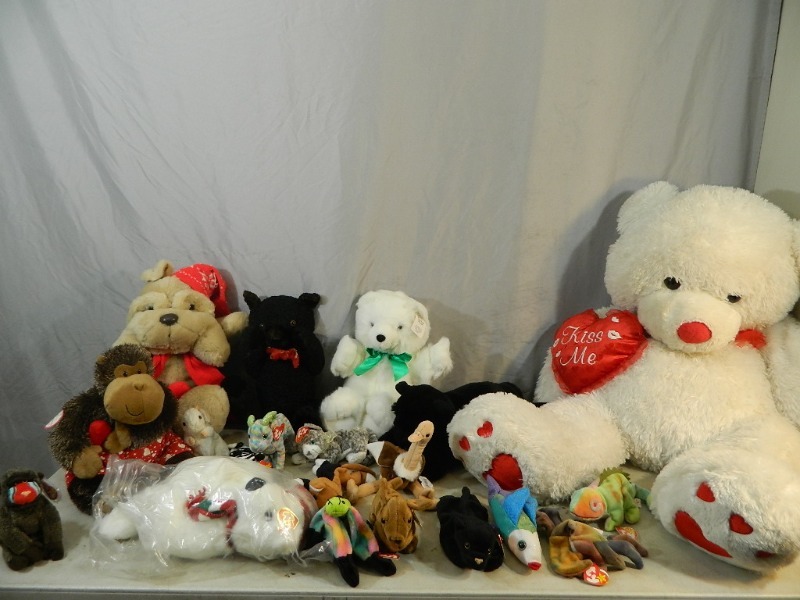 Beanie Babies and Huge Bear
