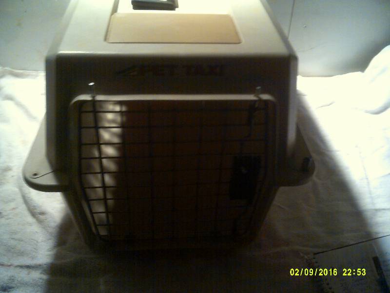 lot 31 image: SMALL PET TAXI