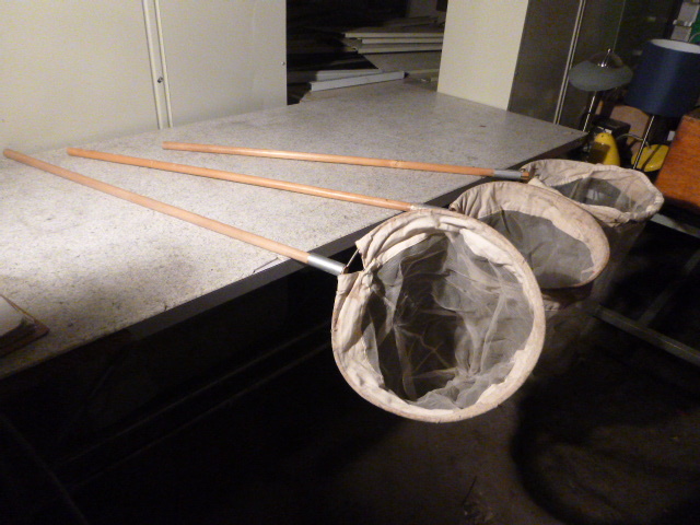 lot 101 image: 2 Nets