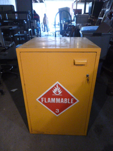lot 128 image: Flinn Scientific Fire Cabinet