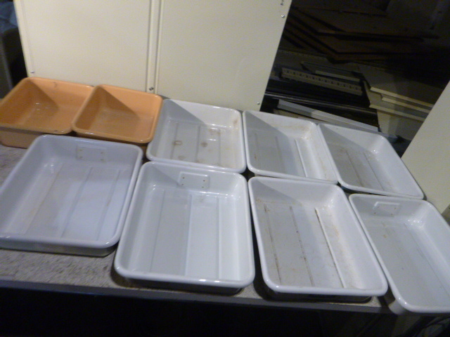 lot 155 image: 9 Lab Trays