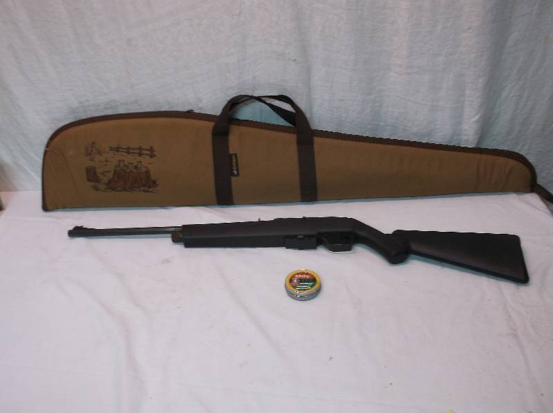 Pellet Gun