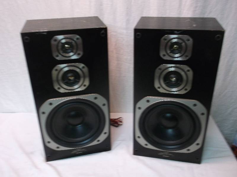 Pioneer