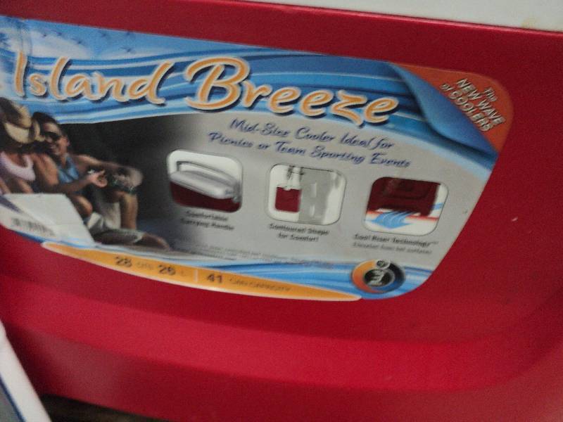 lot 70 image: Cooler and plastic 5-drawer storage...