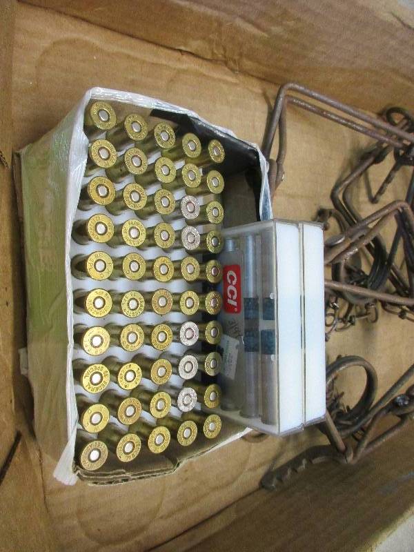 Ammo and traps