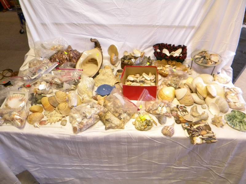 lot 229 image: Huge Lot Of Shells