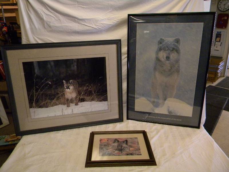 lot 354 image: Framed Wolf And Bobcat Framed Prints