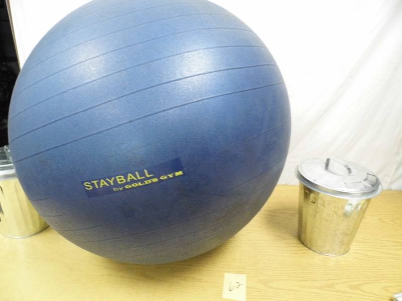StayBall Exercise Ball - 2 Mini Garbage Cans