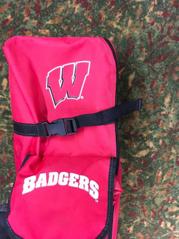10X10 CANOPY WISCONSIN BADGERS
