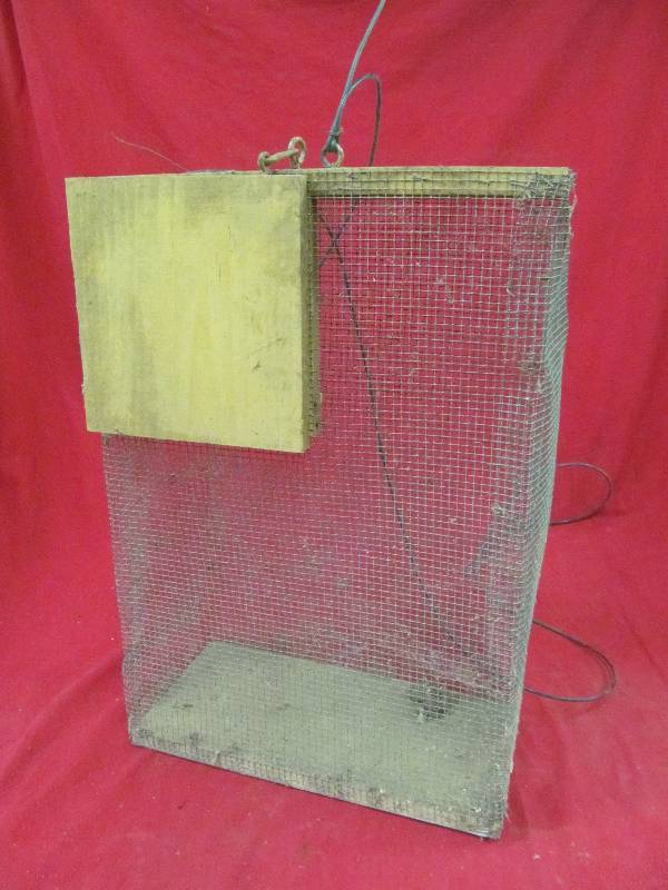 minnow cage