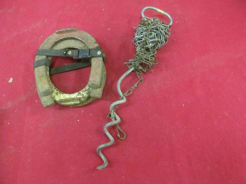horse shoes, dog tie down