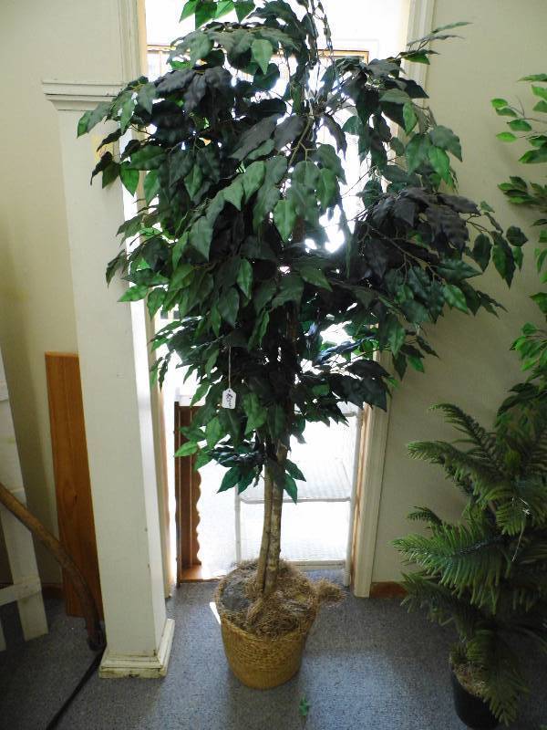 lot 67 image: Artificial Ficus Tree