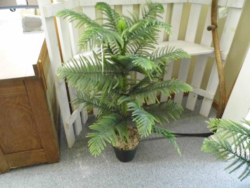 lot 69 image: Artificial Norfolk Pine