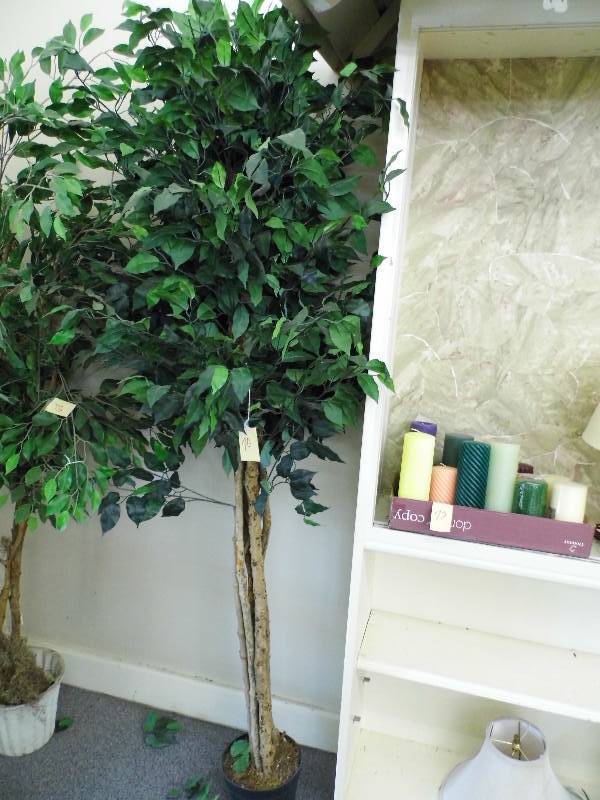 lot 70 image: Artificial Ficus Tree