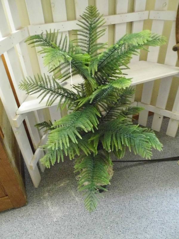 lot 71 image: Artificial Norfolk Pine
