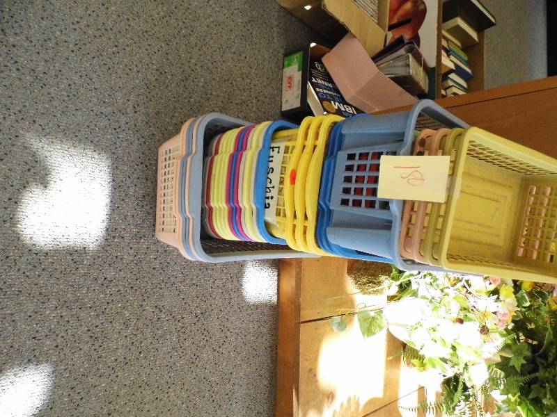 lot 180 image: Plastic Basket - Trays