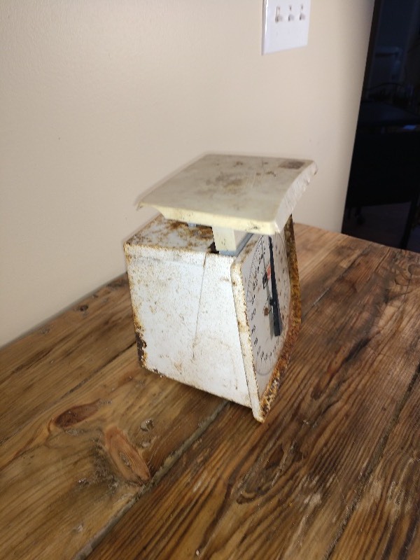 lot 6 image: Hanson 25lb Capacity Scale