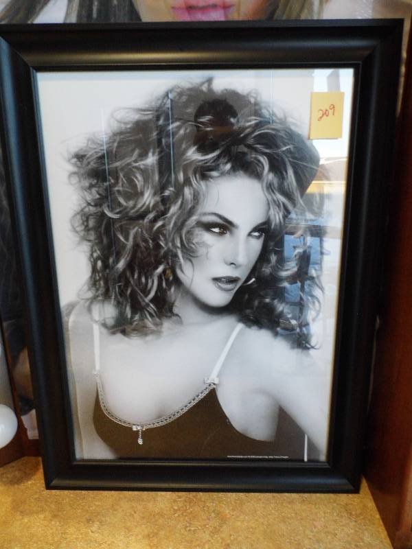 lot 209 image: Black Framed Portaits