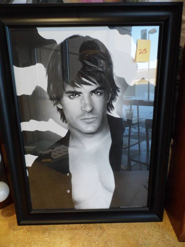 lot 213 image: Black Framed Portaits