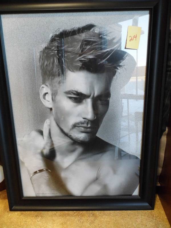lot 214 image: Black Framed Portaits