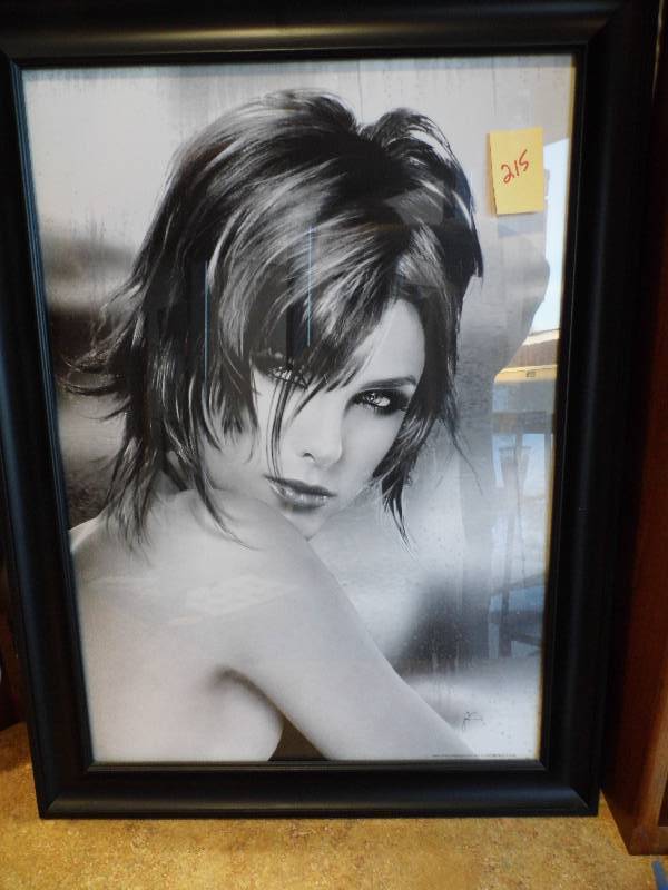 lot 215 image: Black Framed Portaits