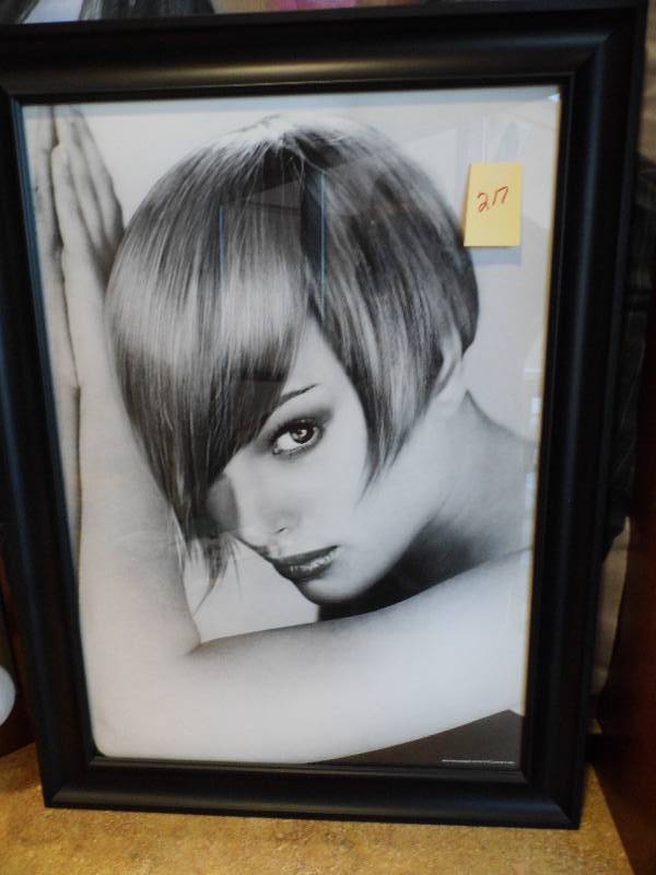 lot 217 image: Black Framed Portaits