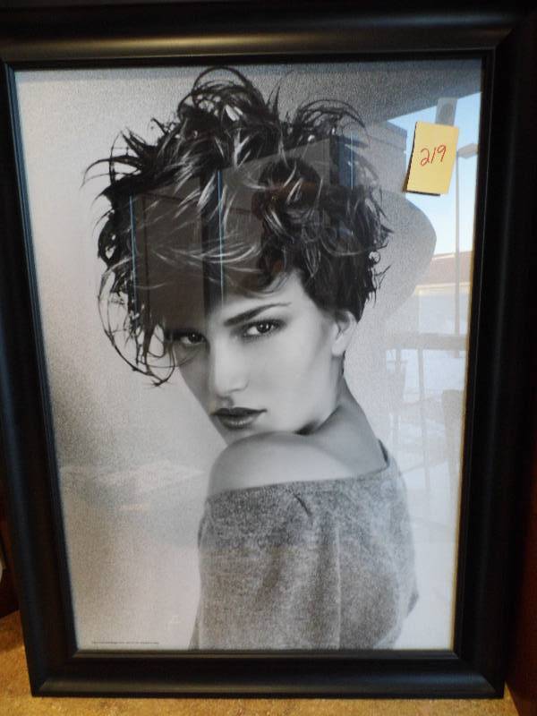 lot 219 image: Black Framed Portaits