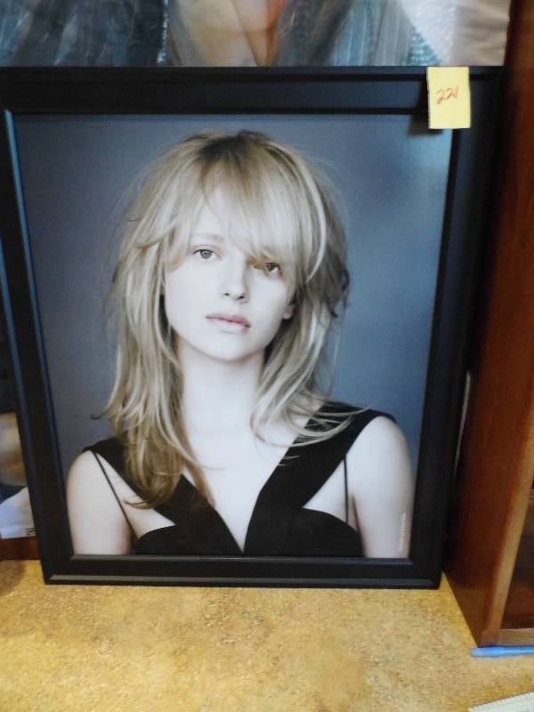 lot 221 image: Bumble & Bumble Framed Picture