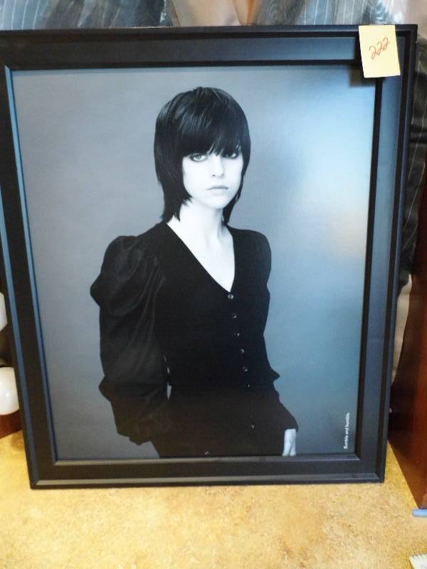 lot 222 image: Bumble & Bumble Framed Picture