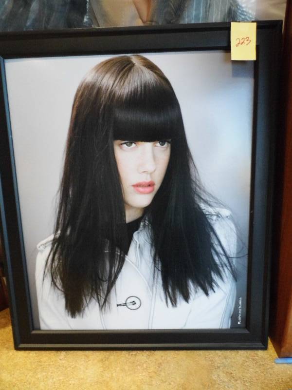 lot 223 image: Bumble & Bumble Framed Picture