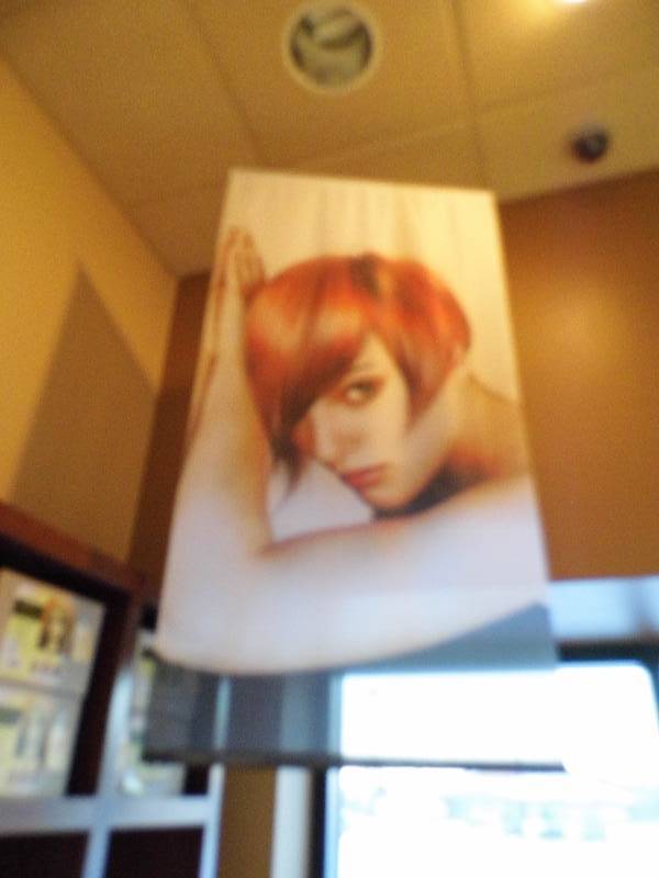 lot 235 image: Salon Banner Photos
