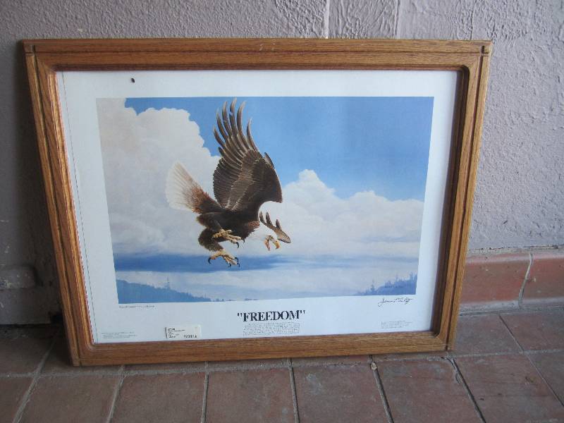 lot 52 image: Eagle Print Freedom in Wood Frame...