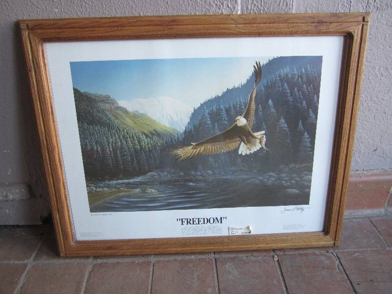 lot 53 image: Eagle Print Freedom in Wood Frame...
