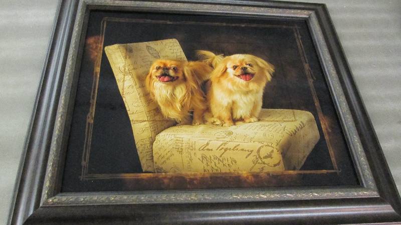 31x27 Framed Dog Photo...
