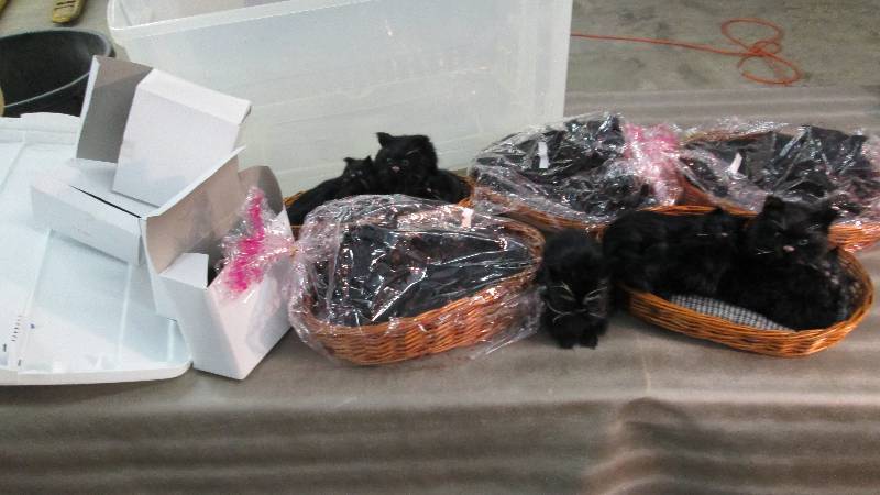 5 Sets of Cat Family Posing Props. ...