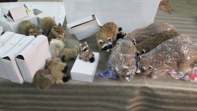 Raccoon & Squirrel Posing Props in ...