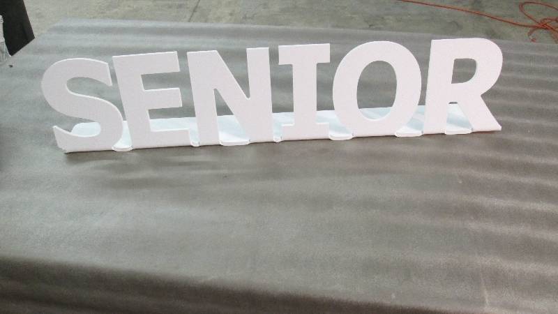 White Plastic Senior Sign...