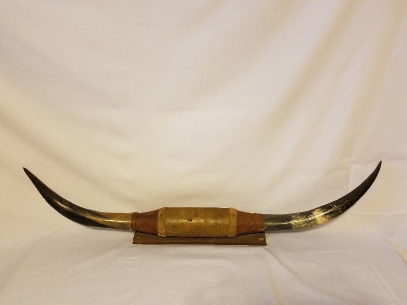AUTHENTIC LARGE STEER HORNS