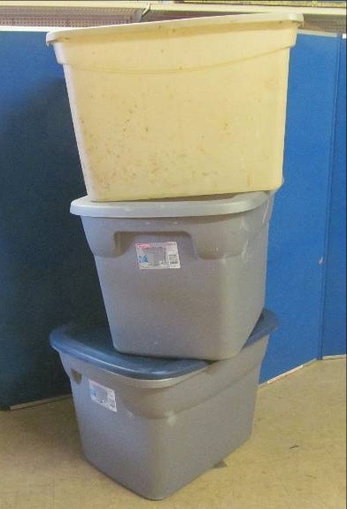 lot 194 image: Sterilite totes