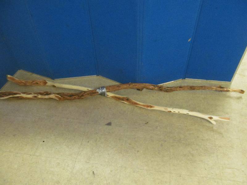 lot 199 image: Diamond willow branches