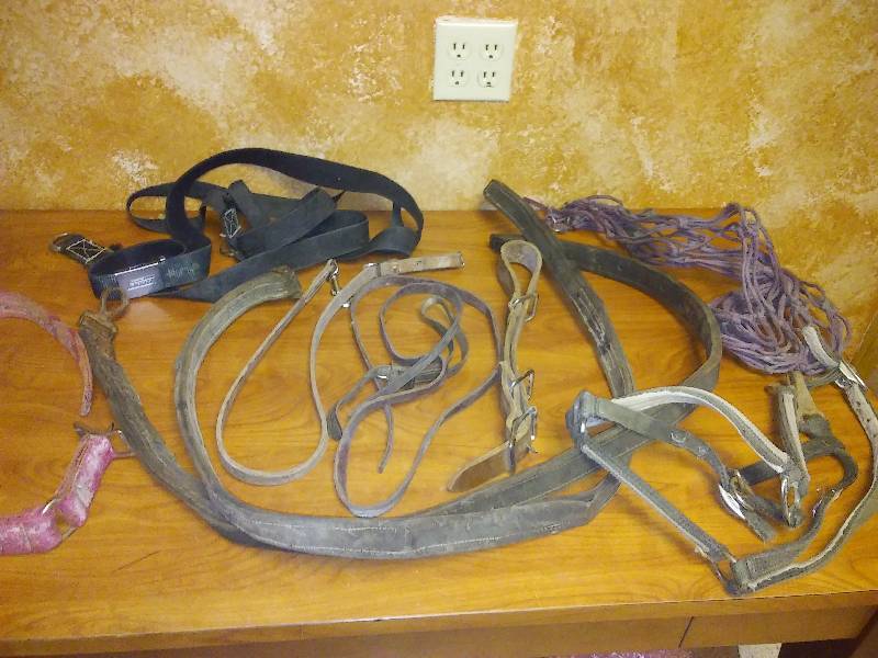 lot 5 image: Misc. horse leather and canvas