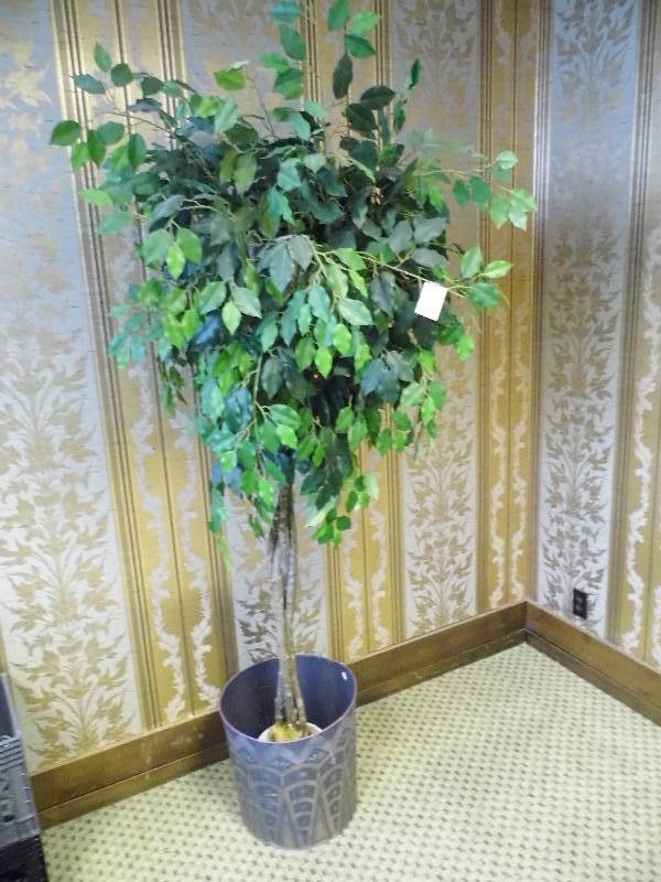Artificial Ficus