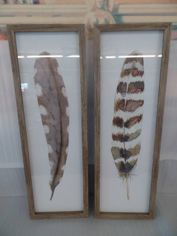 lot 47 image: Feather Wall Art