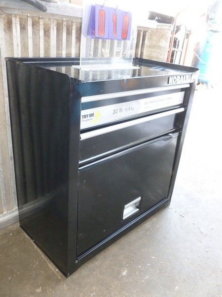 SnS Auctions # 304 Thinking about Spring