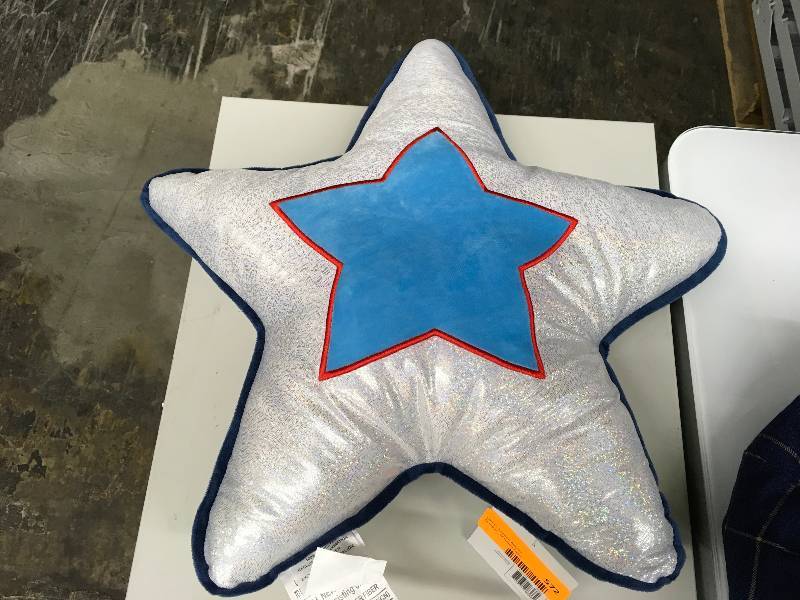 lot 572 image: BIG BELIEVERS, BIG DREAMERS DECORATIVE PILLOW