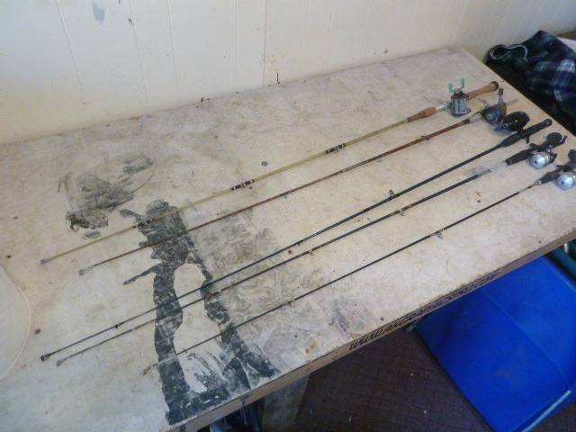 lot 46 image: 5 Rods and Reels